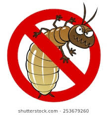 ant-pest-control