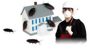 residential-pest-control