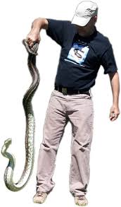 snake-catchers