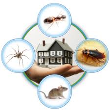 commercial-pest-control