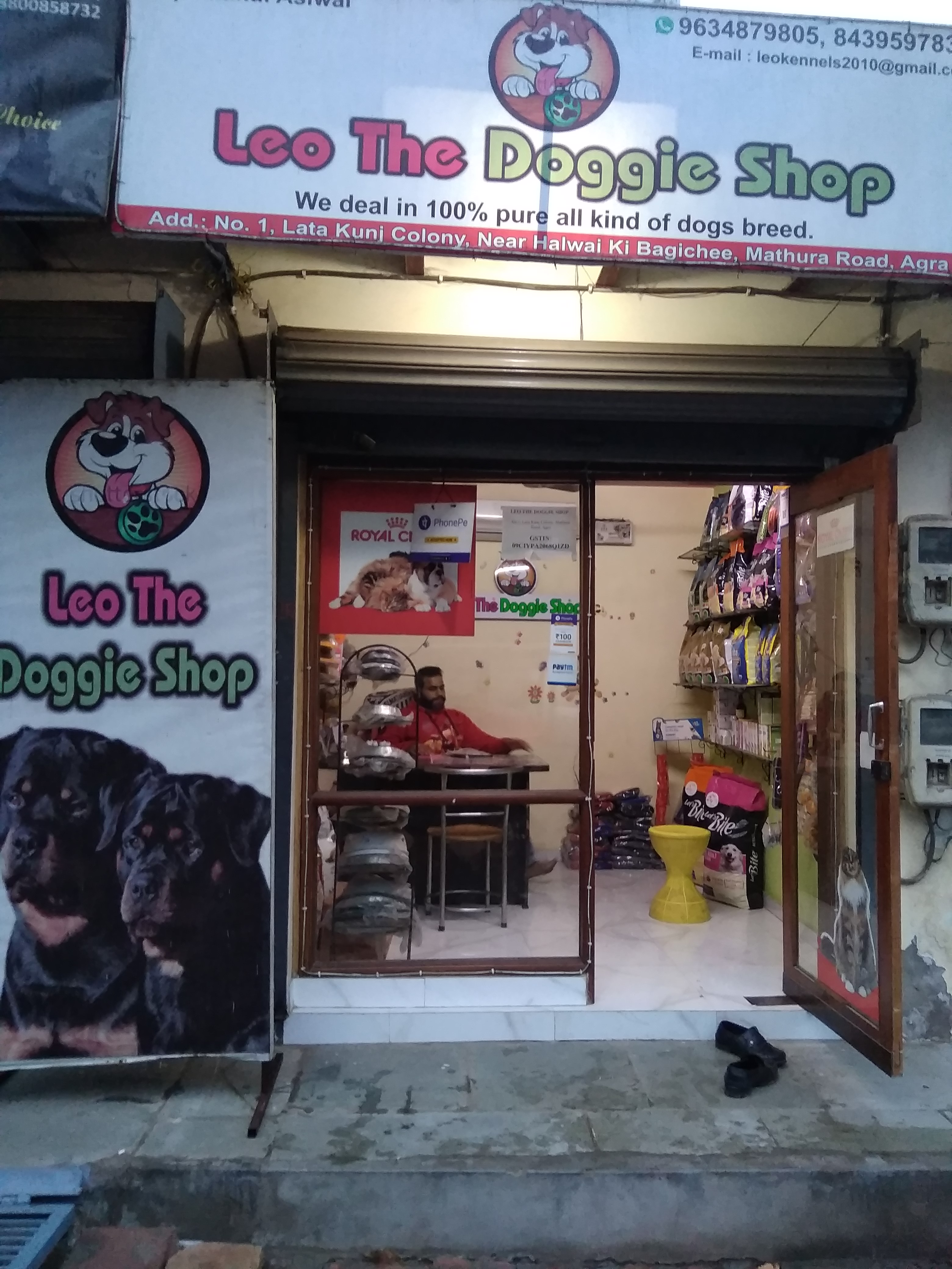 LEO THE DOGGIE SHOP